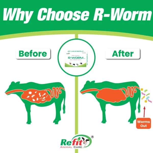 R-Worm - Herbal Dewormer - Single Bolus Back (Set of 500) - Image 4