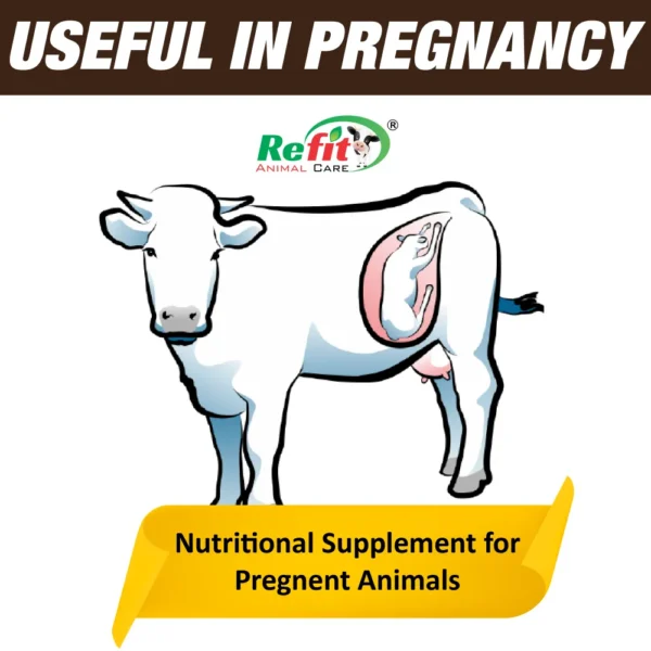 R-Bolite+ -Nutritional Supplement for Pregnant Animals - 20 Pouches of 50 gm (Set of 10 Box) - Image 4