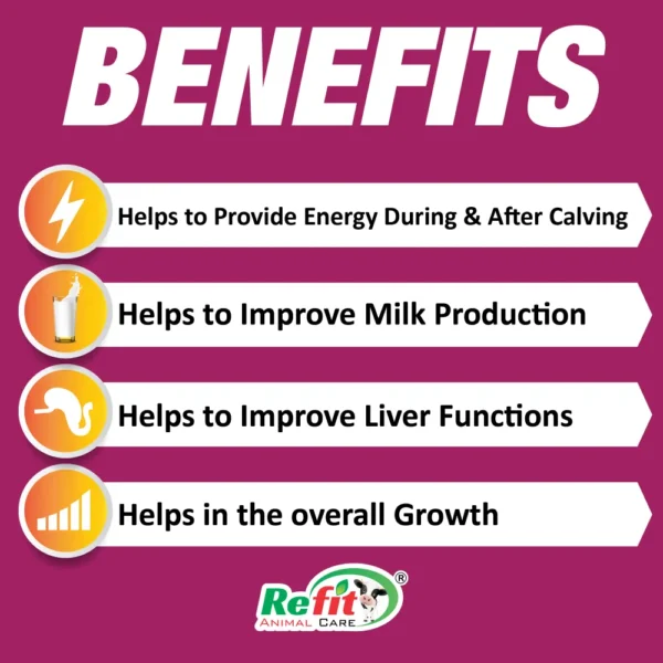 Recal Pep - Instant Ionic Calcium Gel For Cattle - 300 gm (Set of 42) - Image 2