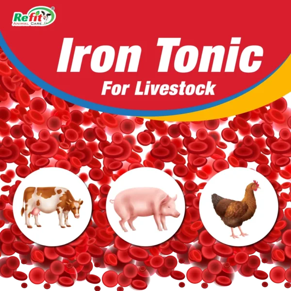 Re-Ferrol - Iron Tonic For Cattle, Poultry & Aqua - 1 Ltr - Set of 16 - Image 5