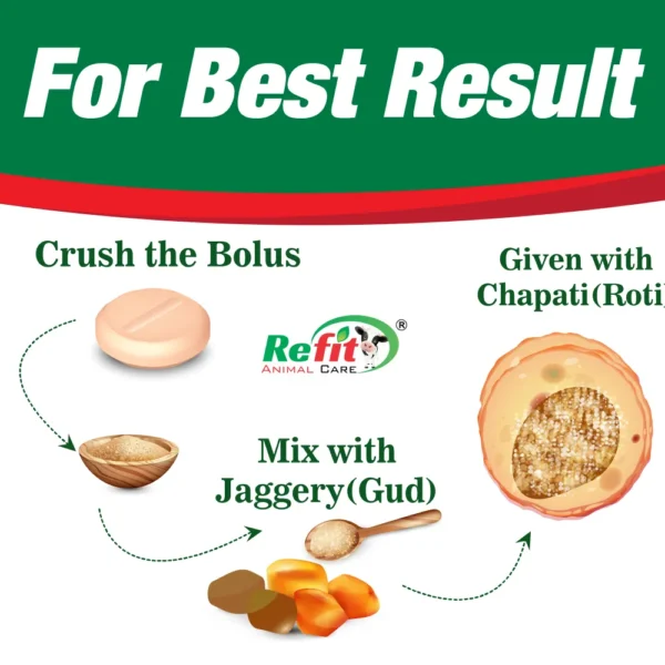Refertile - Heat Bolus For Cattle - 10 Bolus Pack (Set of 96) - Image 2