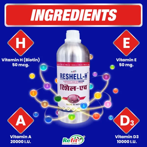 Reshell-H - Vitamin-H For Cattle & Poultry - 1 Ltr - Set of 12 - Image 3