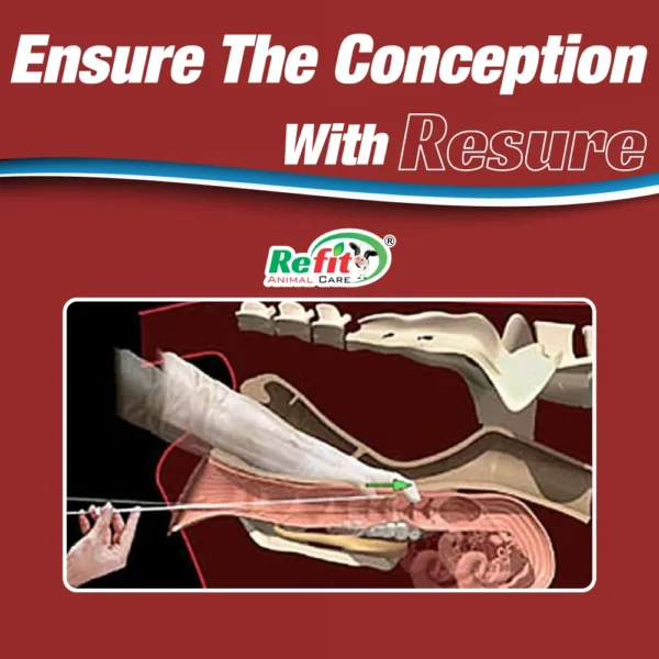 Resure - Conception Improving Liquid For Cattle - 225 ml (Set of 50) - Image 3