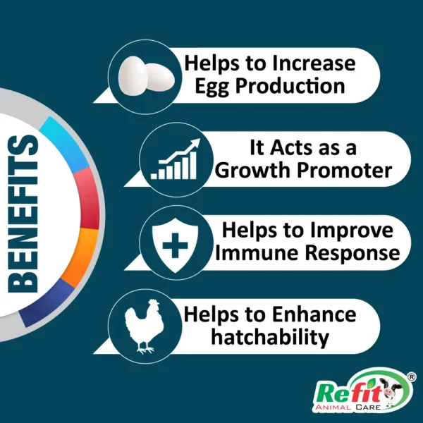 Revita-B12 - Vitamin B12 & C Liquid, Cattle & Poultry - 1 Ltr - Set of 12 - Image 2