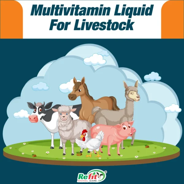 Revita-B12 - Vitamin B12 & C Liquid, Cattle & Poultry - 1 Ltr - Set of 12 - Image 4