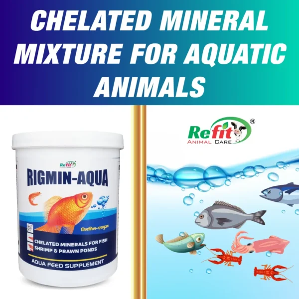 Rigmin-Aqua - Mineral Mixture For Fishes - 5 Kg - Set of 6 - Image 3