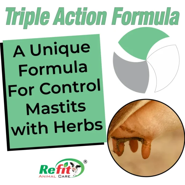 R M S Liq - Triple Action Liquid For Mastitis in Cattle - 500 ml (Set of 20) - Image 2