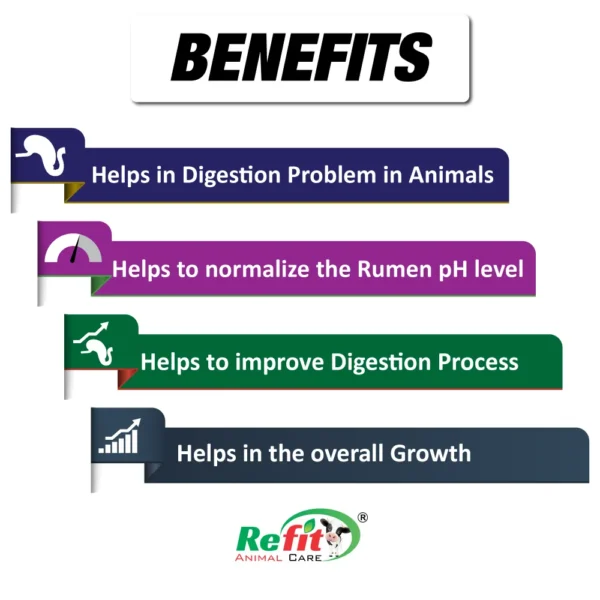 Rumipulse - Rumen Digestive Bolus For Cattle - 10 Bolus Pack (Set of 72) - Image 4