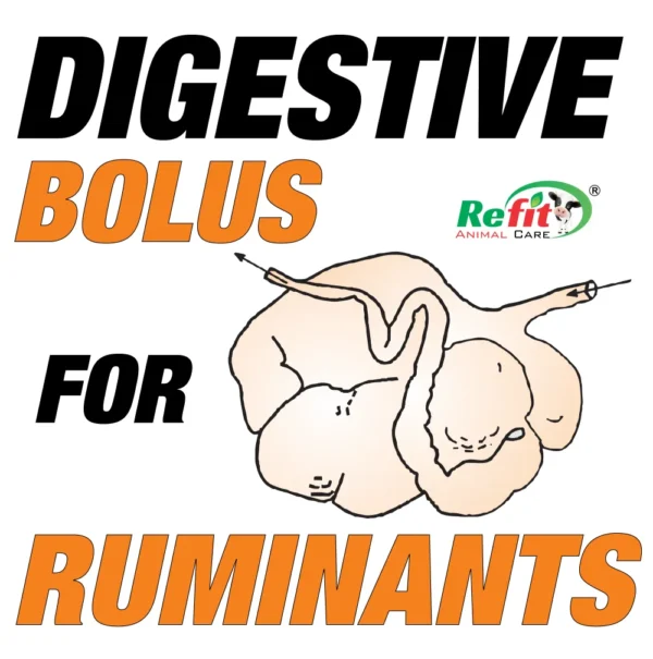 Rumipulse - Rumen Digestive Bolus For Cattle - 10 Bolus Pack (Set of 72) - Image 5
