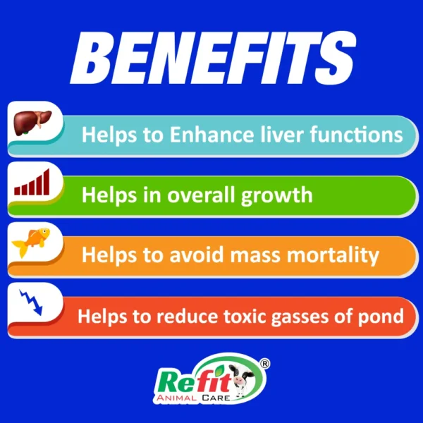 Sealiv-XL - Liver Tonic for Aquaculture - 1 Ltr (Set of 12) - Image 2