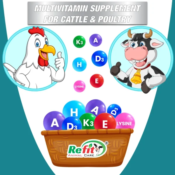 Spark-H - Multivitamin For Cattle & Poultry - 500 ml (Set of 20) - Image 4