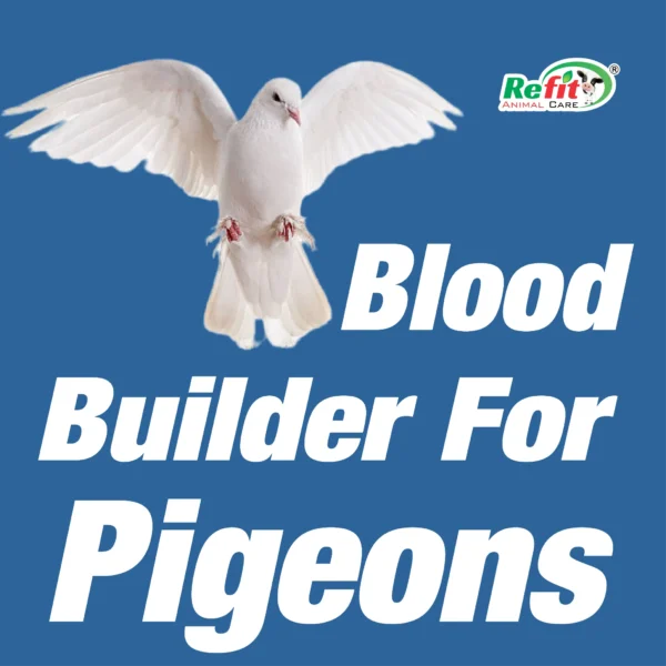 Speedo+ - Energetic,Blood builder Oxygen restoration for Pigeons - 1 Ltr - Set of 16 - Image 4