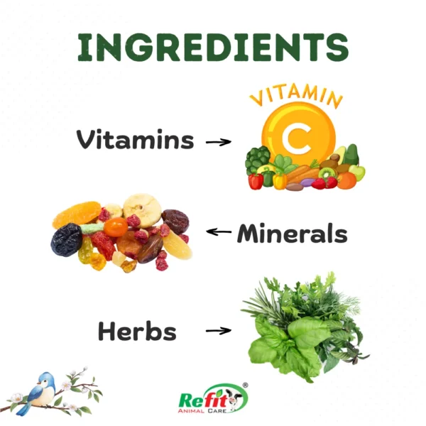 Vita Bird - Mulitvitamin Supplement For Birds - 100 ml (set of 96) - Image 4