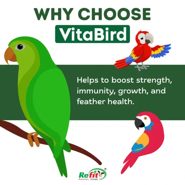 Vita Bird - Mulitvitamin Supplement For Birds - 100 ml (set of 96) - Image 5