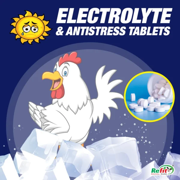 Wet-Up Tablets - Electrolyte Tablets for Poultry - 500 gm - Set of 20 - Image 2