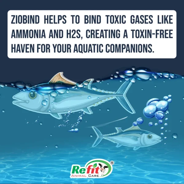 Ziobind - Ziolite For Aquatic Animals - 5 Kg - Set of 6 - Image 3