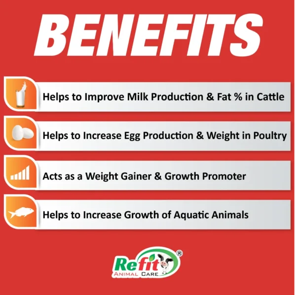 Zoom-H Zeolite Based Multivitamin For Cattle Poultry & Aqua - 5 Kg - Set of 6 - Image 2