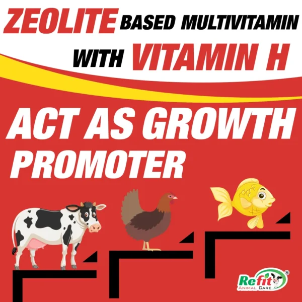 Zoom-H Zeolite Based Multivitamin For Cattle Poultry & Aqua - 5 Kg - Set of 6 - Image 3