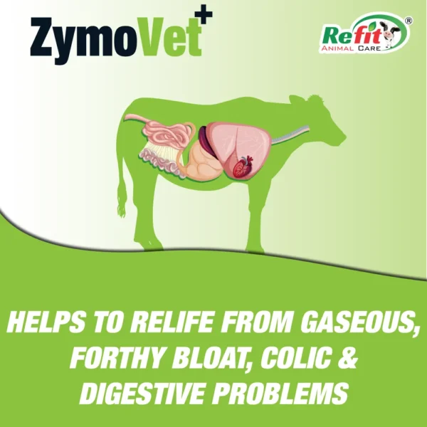 Zymovet+ - Digestive Enzyme Liquid For Cattle & Poultry - 1 Ltr - Set of 16 - Image 3
