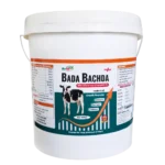 Bada Bachda - Calf Growth Supplement - 1 Kg - Set of 12