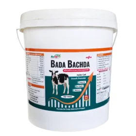 Bada Bachda 5 Kg