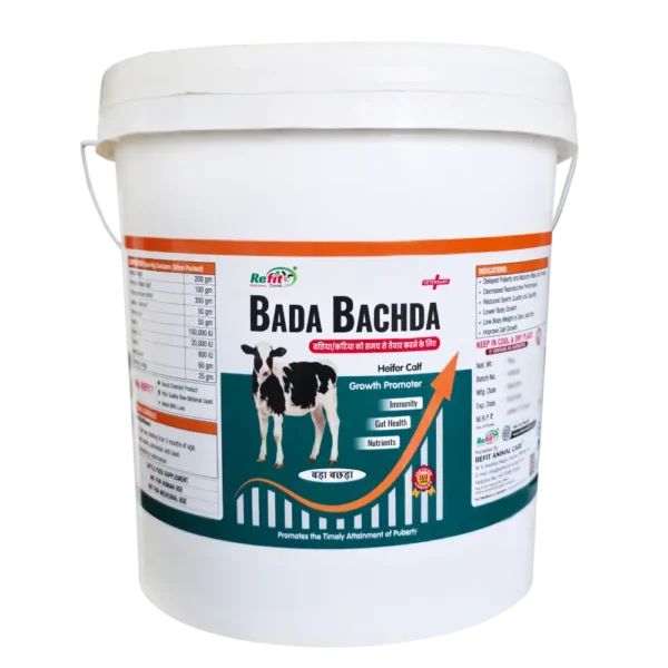 Bada Bachda - Calf Growth Supplement - 1 Kg - Set of 12