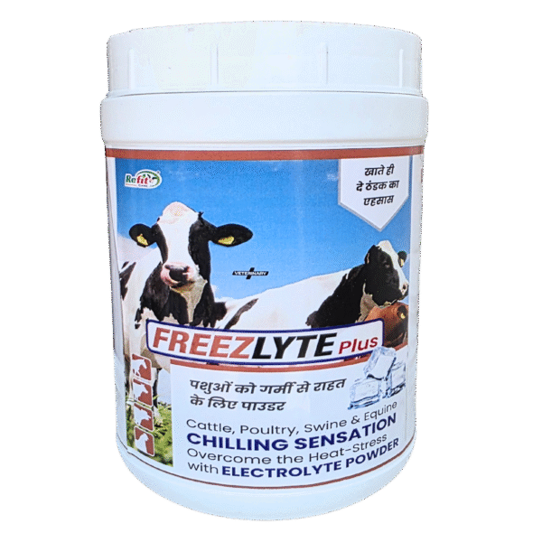 Freezlyte - Electrolyte Powder for Livestock - 1 Kg - Set of 12