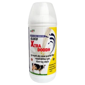 Xtra Doodh 1 Ltr