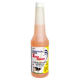 Xtra Doodh 500 ml