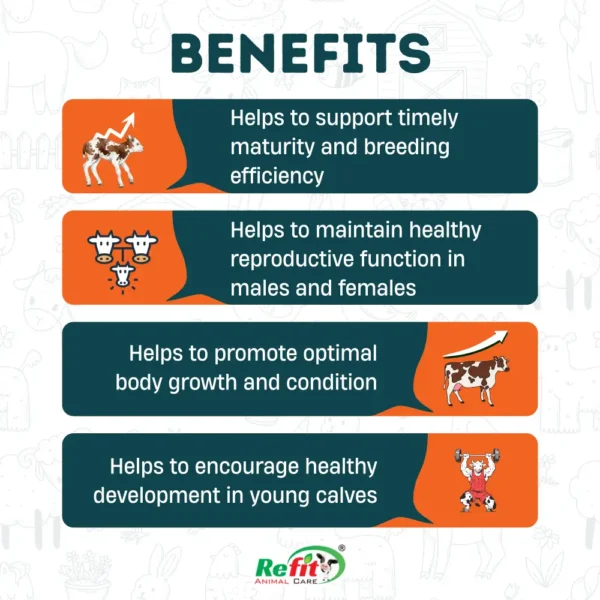 Bada Bachda - Calf Growth Supplement - 1 Kg - Set of 12 - Image 2