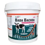 Bada Bachda - Calf Growth Supplement - 5 Kg - Set of 6