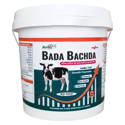 Bada Bachda - Calf Growth Supplement - 5 Kg - Set of 6