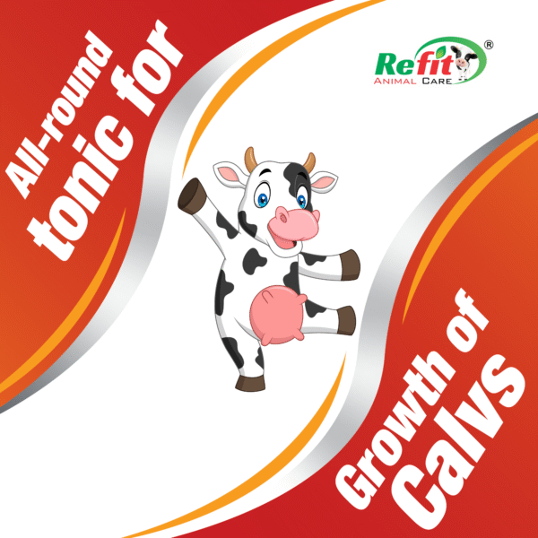 Calf Sakha - Calf Growth Promoter - 500 ml - Set of 25 - Image 3