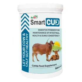 digestion powder for cattle 1024x1024 1