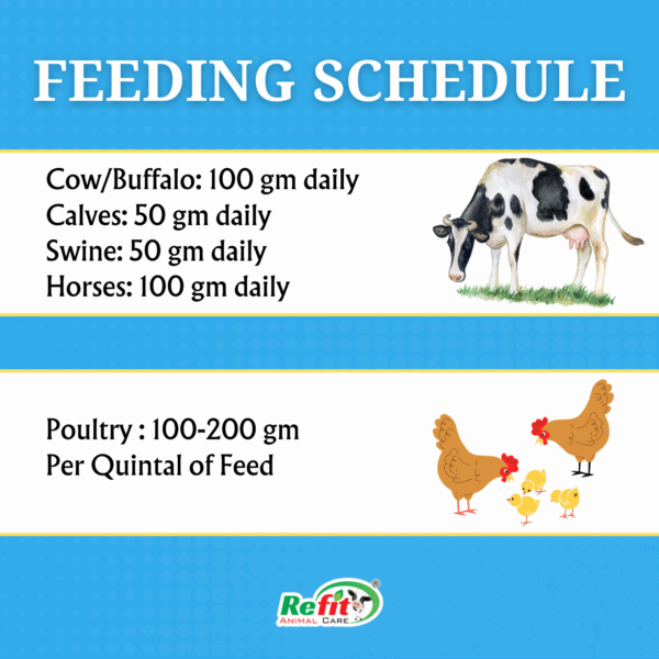 Freezlyte - Electrolyte Powder for Livestock - 5 Kg - Set of 6 - Image 3