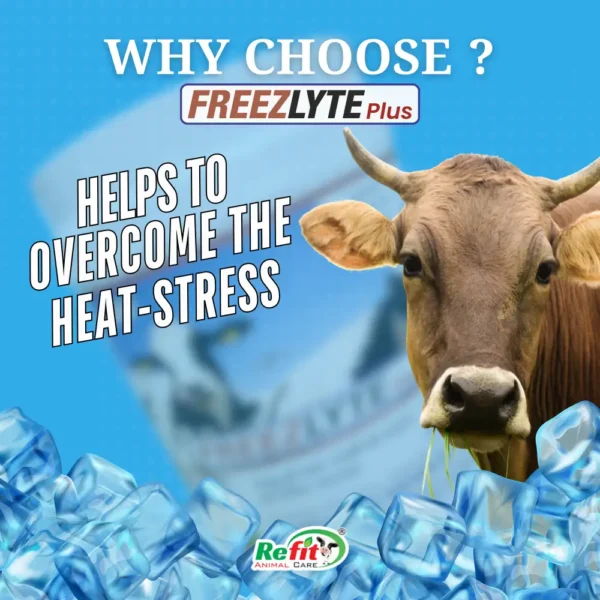Freezlyte - Electrolyte Powder for Livestock - 5 Kg - Set of 6 - Image 4