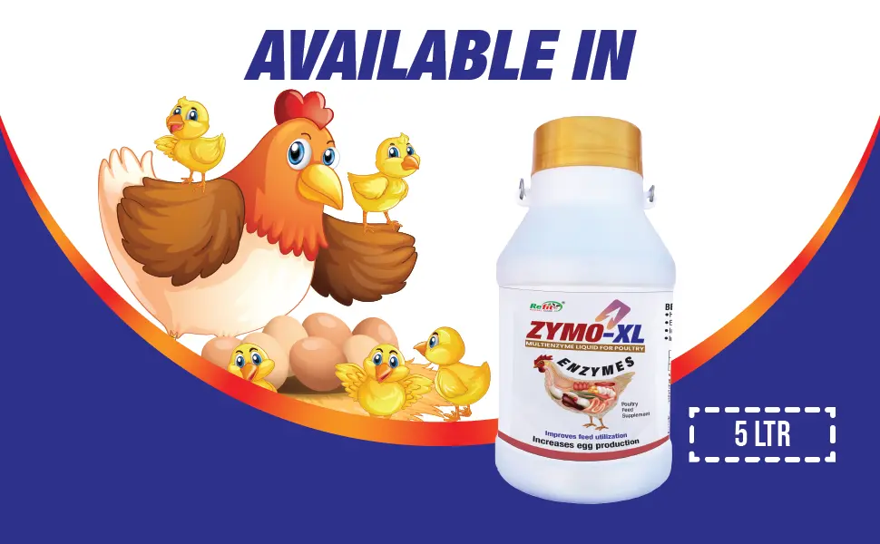 poultry supplement liquid