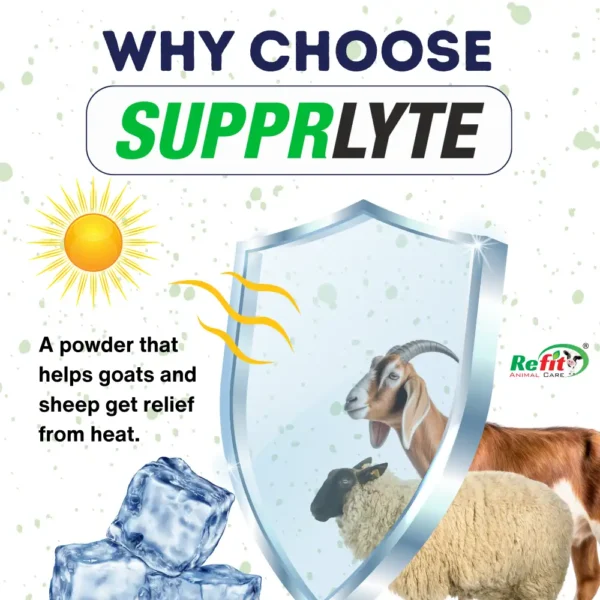 Supprlyte - Electrolyte Powder for Goats & Sheep - 1 Kg - Set of 12 - Image 4