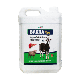 Bakra Plex 5Ltr.png