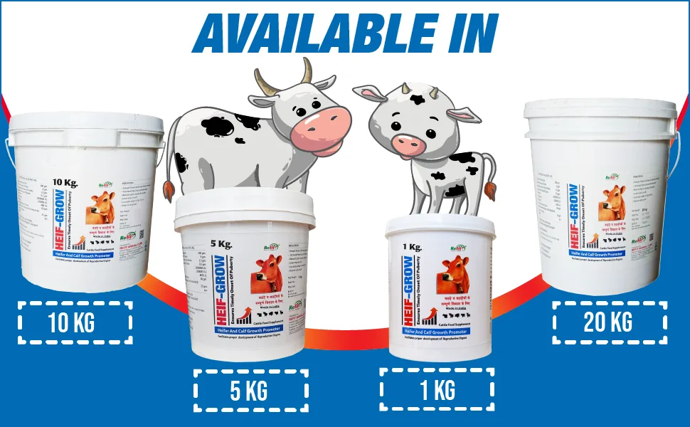 Cattle feed supplement