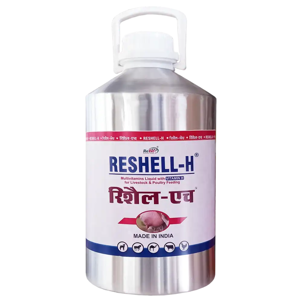 Reshell H 10 Ltr n.webp