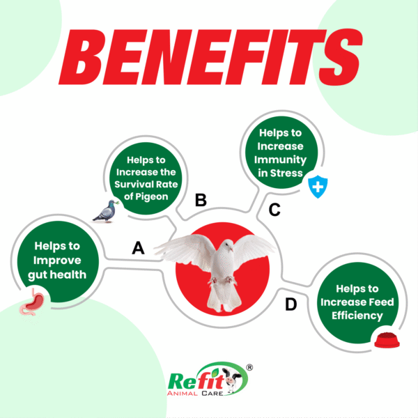 actipigeon benefits scaled 1.png