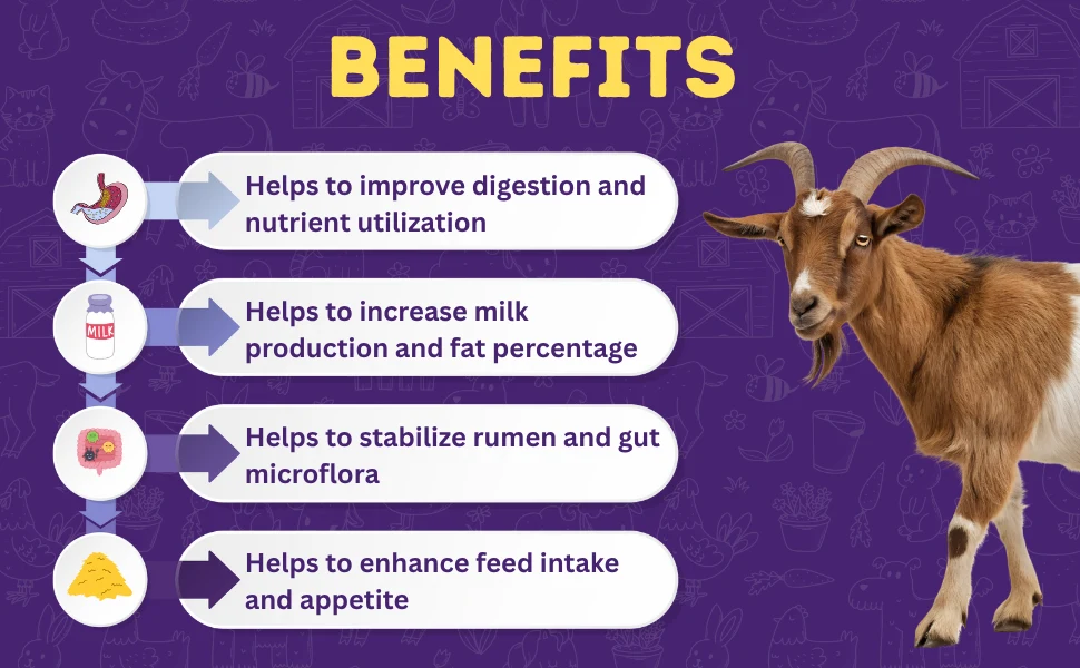 animal gut health animal gut health