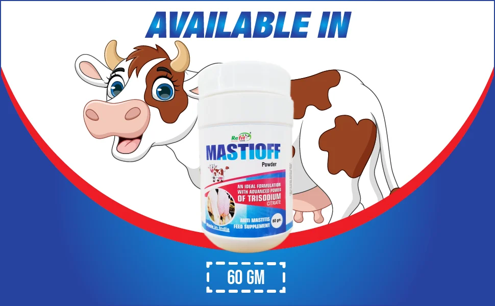 anti mastitis for cattle