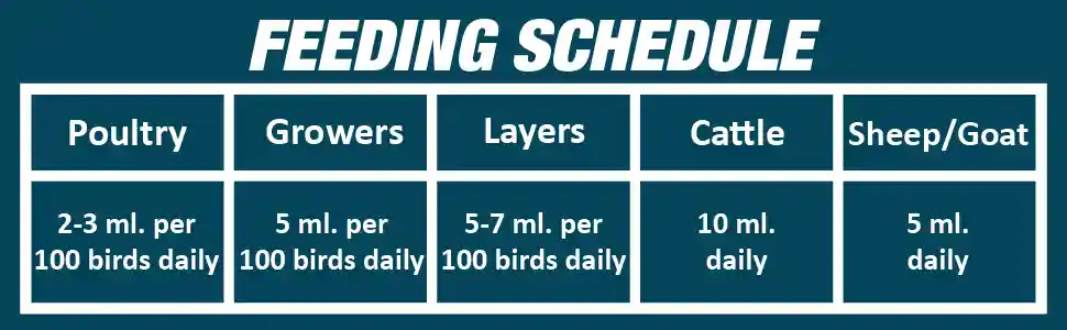 b12 supplement for cattle