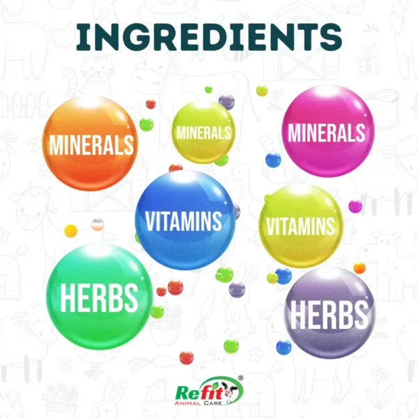 bada bachda ingredients.webp