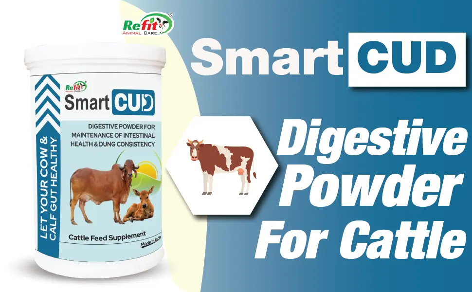 cattle digestive powder