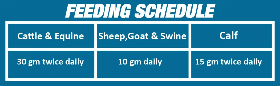 cattle feed supplement