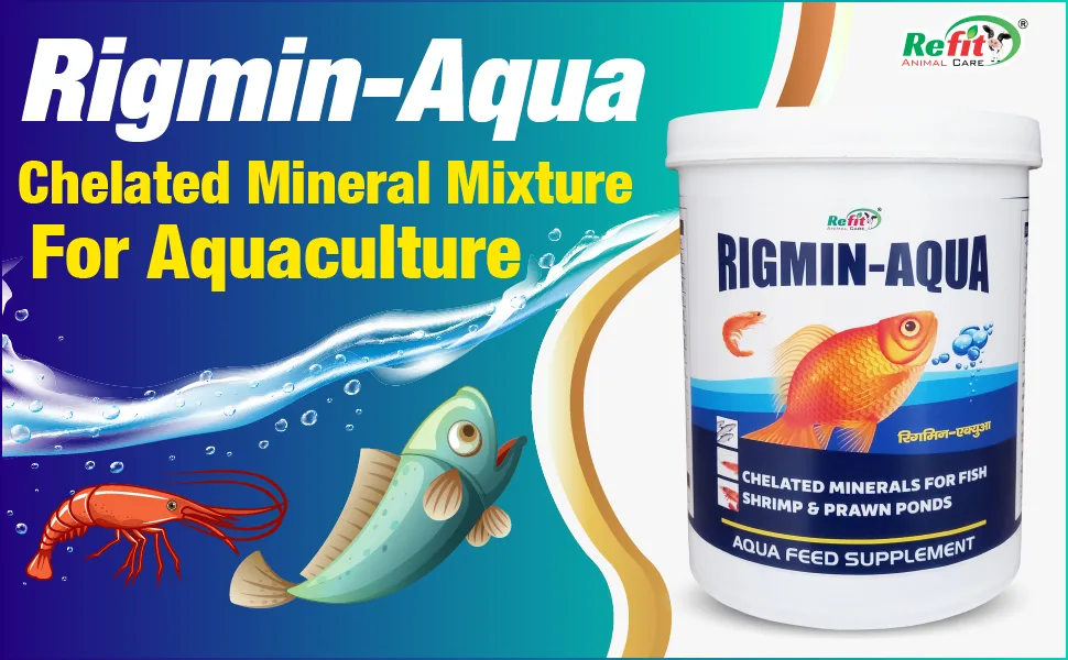 chelated mineral mixture for fish