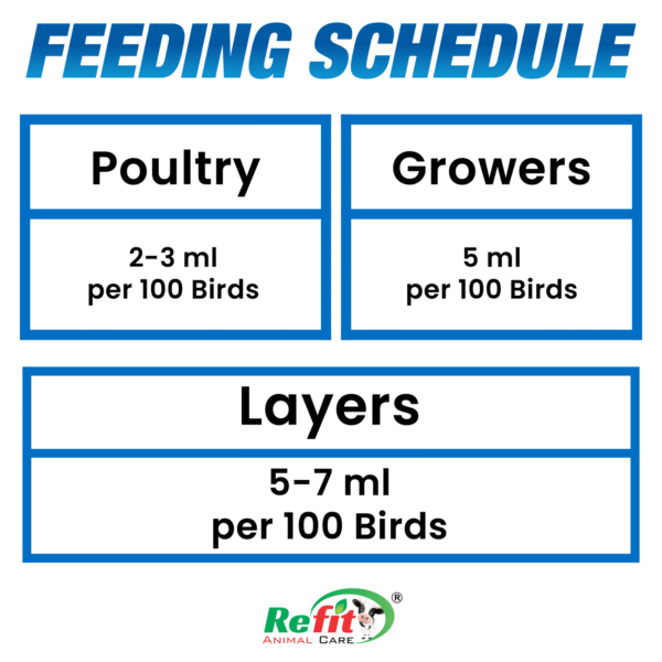 chick up feeding.png